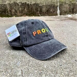 Embroidered Pride Baseball Cap NWT LGBTQ+ Gray Hat Primitives by Kathy Rainbow